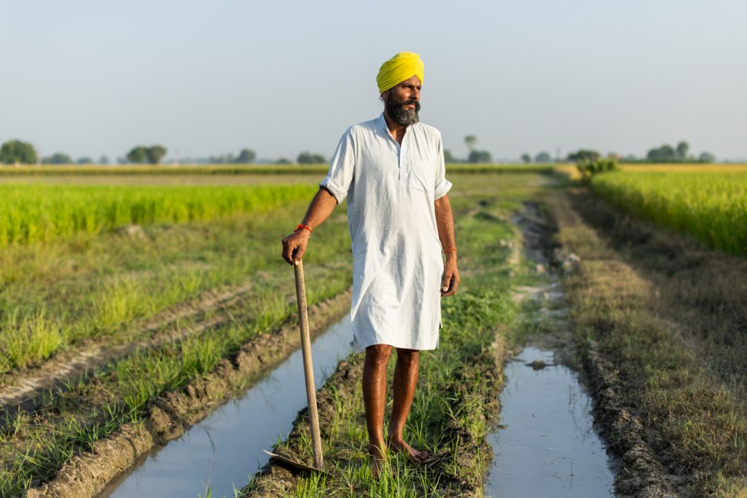 Survival Feeding India In Conversation with Harsha Vadlamani Julia Knights 6 IMG 3448